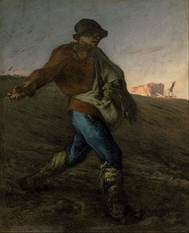 Picture study of the Sower, by Jean-Francios Millet