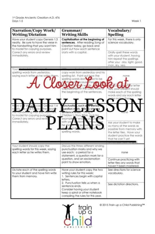 Graphic of daily lesson plans layout for our language arts page.