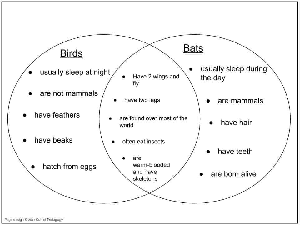 Venn Diagram birds and bats | Train up a Child Publishing