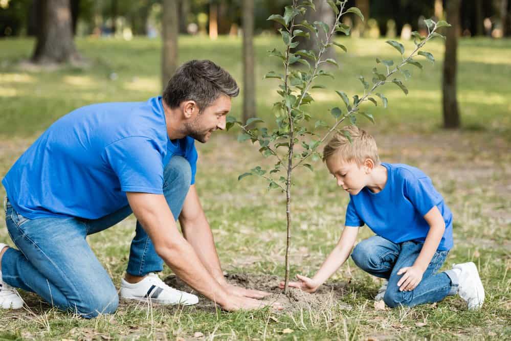 homeschooling father and son planting tree